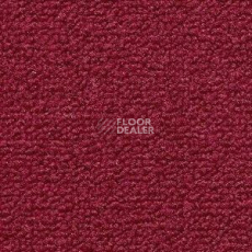 Ковролин Radici Trotter Ribes 2009 фото 1 | FLOORDEALER